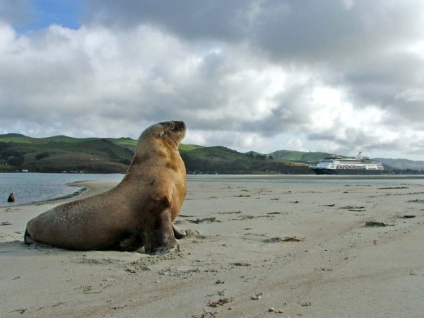 Elm Wildlife Tours